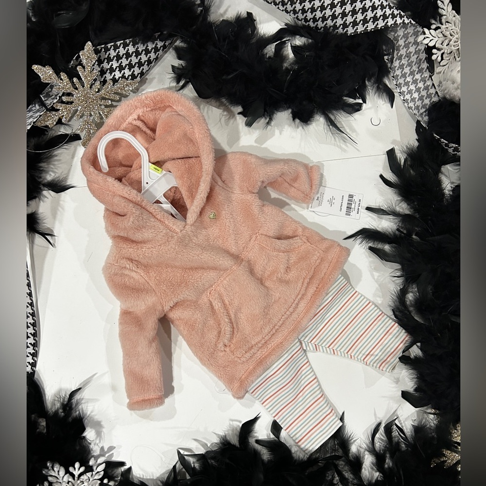 NWT - Carter’s 2pc outfit